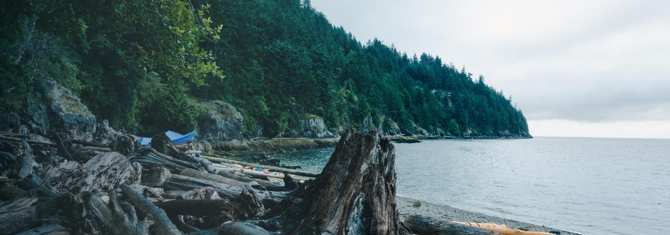 Bowen Island beach